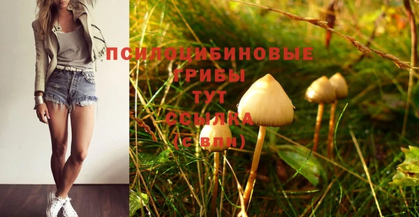 дурь Абаза