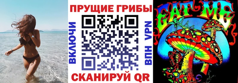 где найти   Павловский Посад  Галлюциногенные грибы прущие грибы 