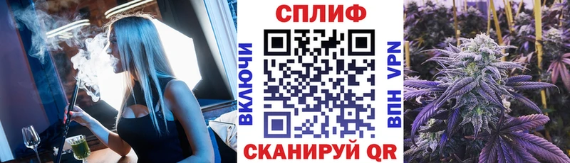 Канабис ГИДРОПОН Павловский Посад